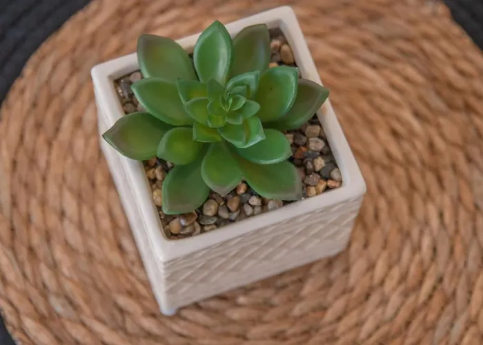 Castle Sunset View Apartment Parikia (Paros)